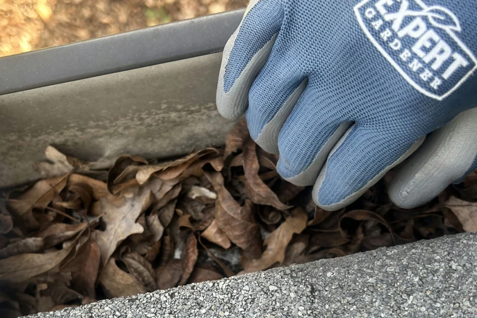 Gutter Cleaning Pinecrest FL