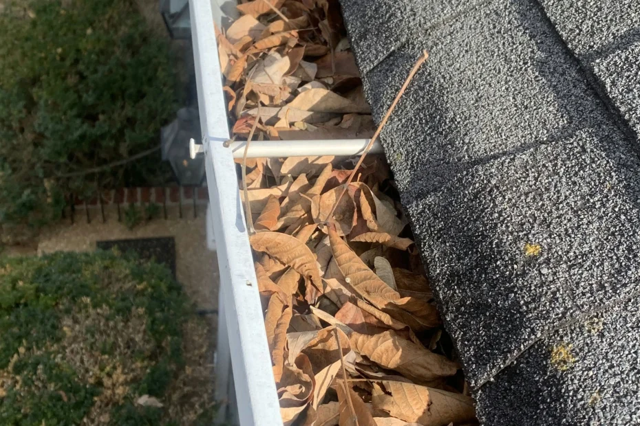 Gutter Cleaning Pinecrest FL