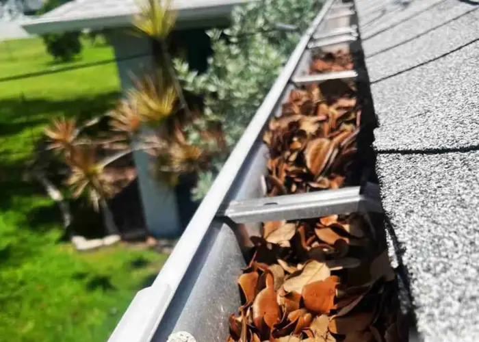 Gutter Cleaning Pinecrest FL home page